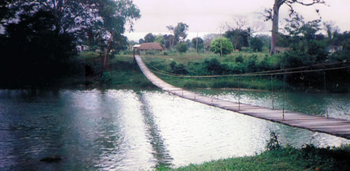 Belize Walking Bridge